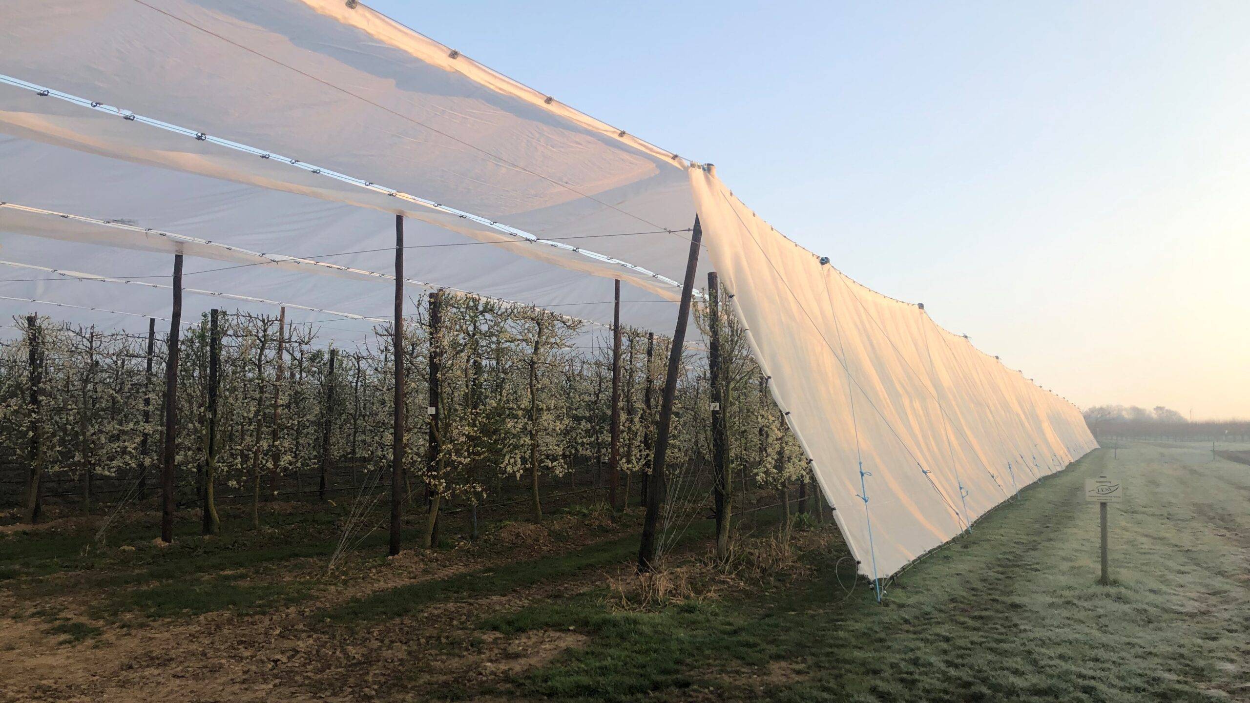 arrigoni-agrotextiles-Protecta|arrigoni-Protecta|arrigoni-Protecta